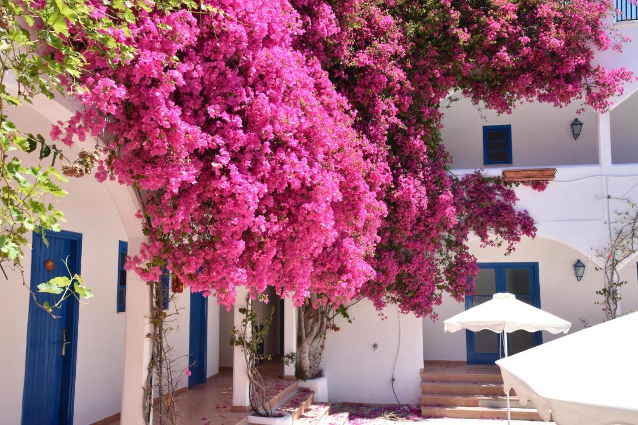 Hotel Boutique Tilos Mare Livadia (Tilos)